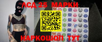 соль ск Новозыбков